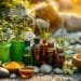 holistic health remedies natural wellness