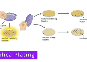 02478977 84e4 45c3 926b e5ec0d5adaa5