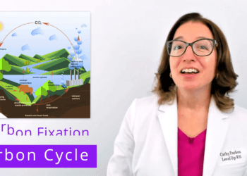 2d6c5e90 c409 4956 aea3 723200f5b4d8