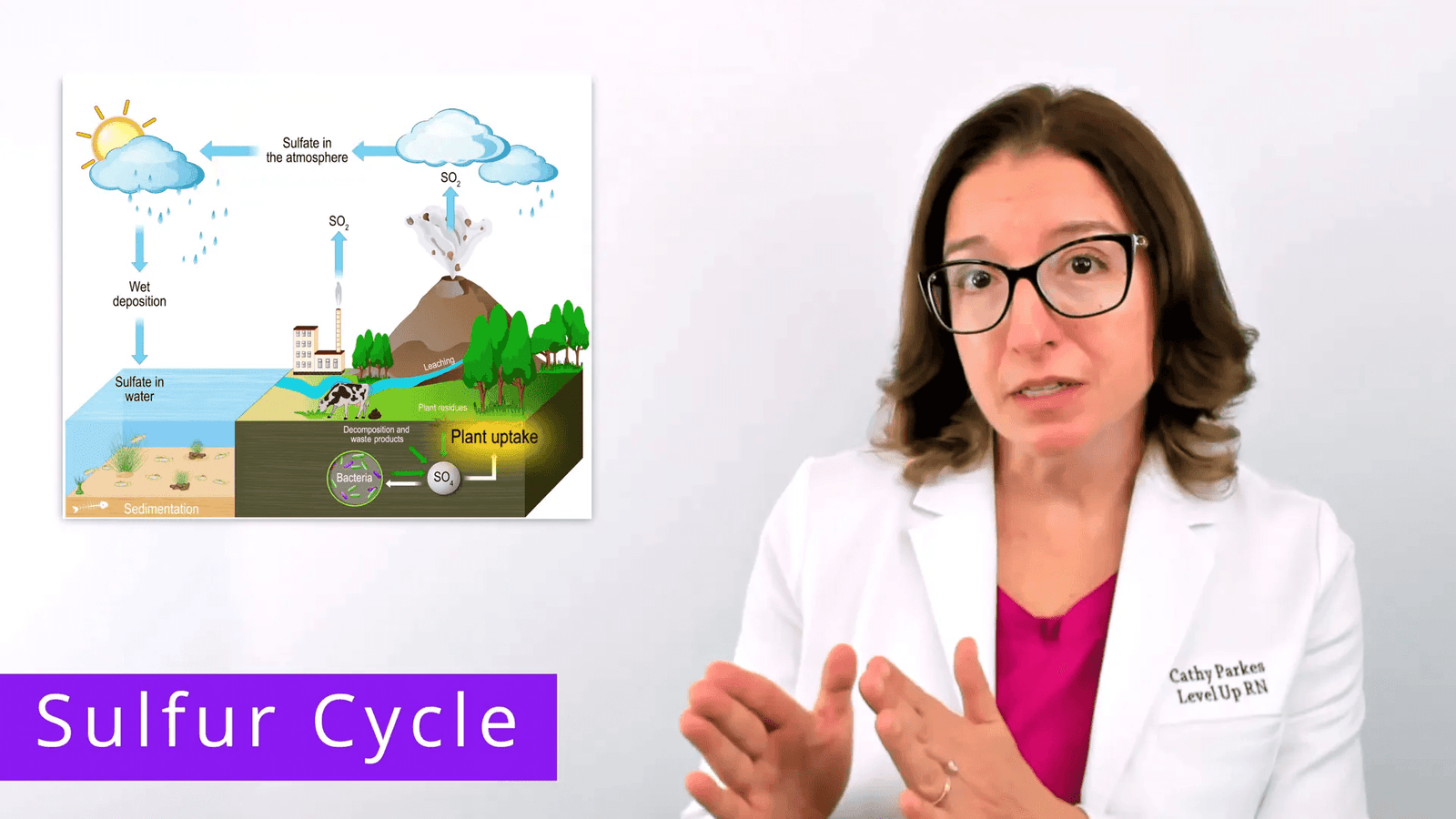 תהליך שחרור גופרית דו-חמצנית