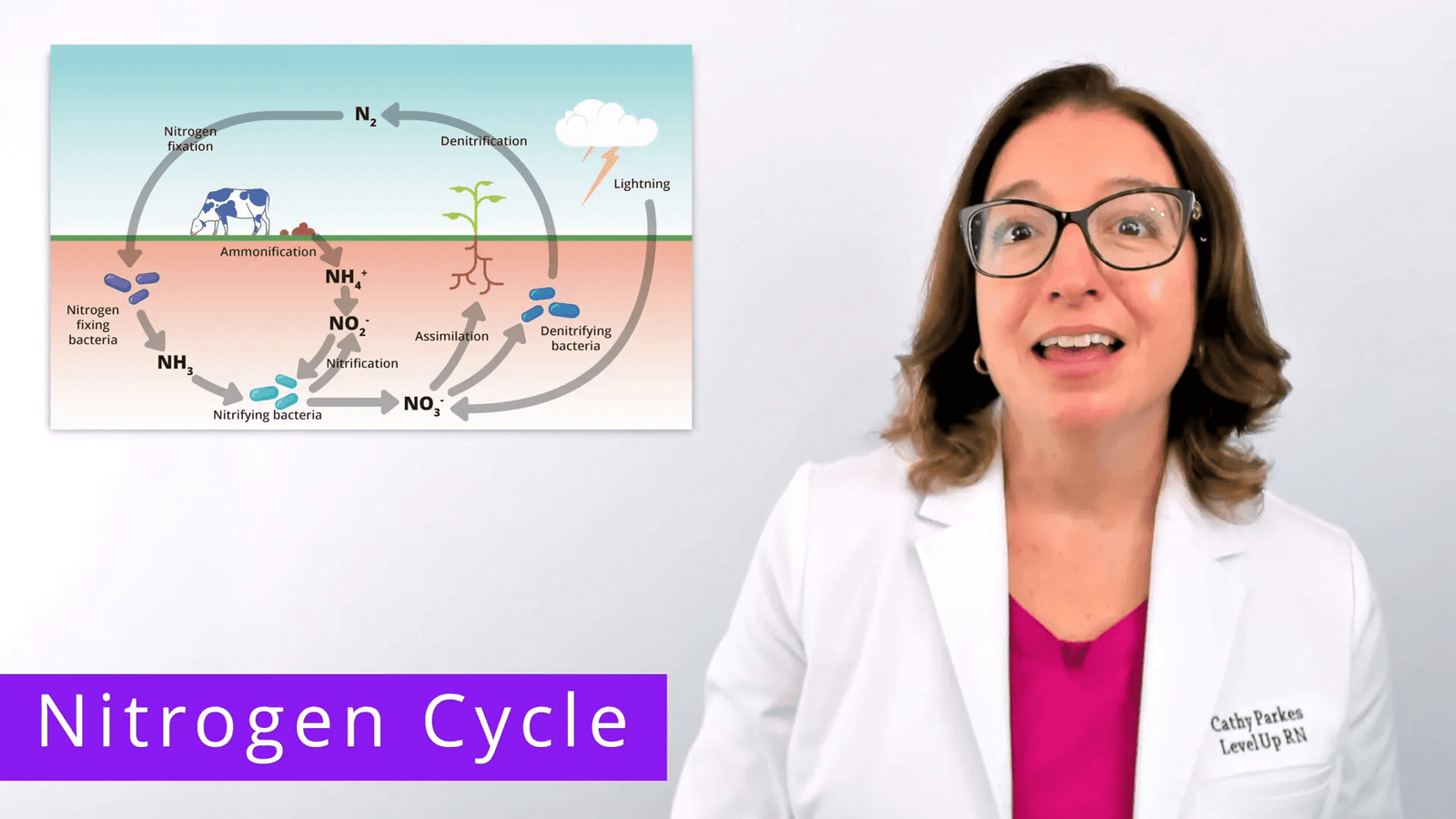 תהליך ניטריפיקציה